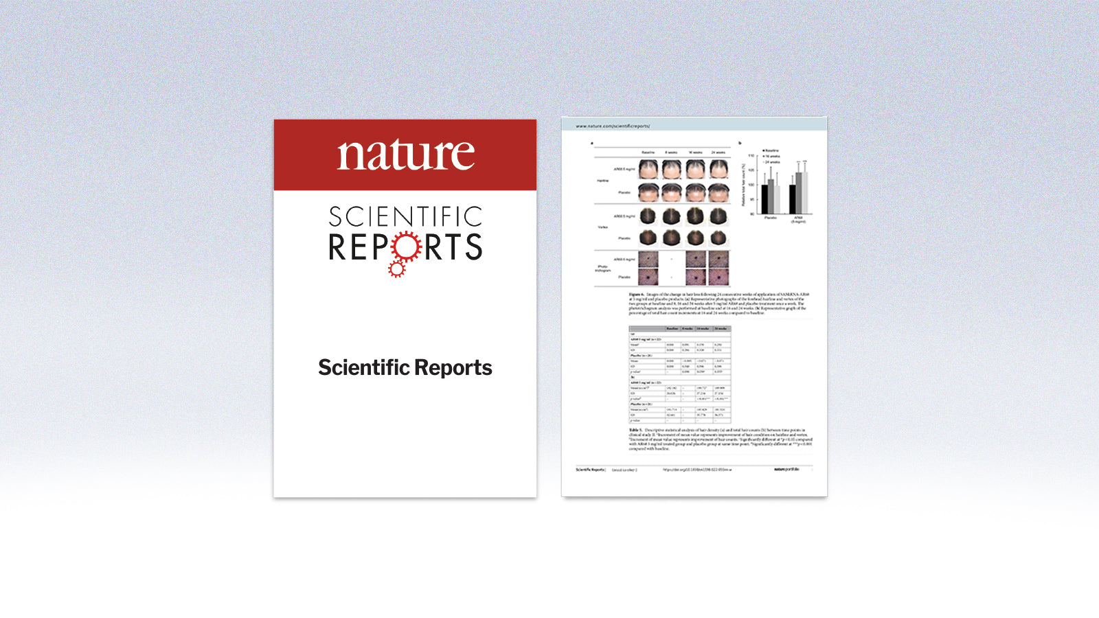 Weekly treatment with SAMiRNA targeting the androgen receptor ameliorates androgenetic alopecia – Scientific Reports (2022)